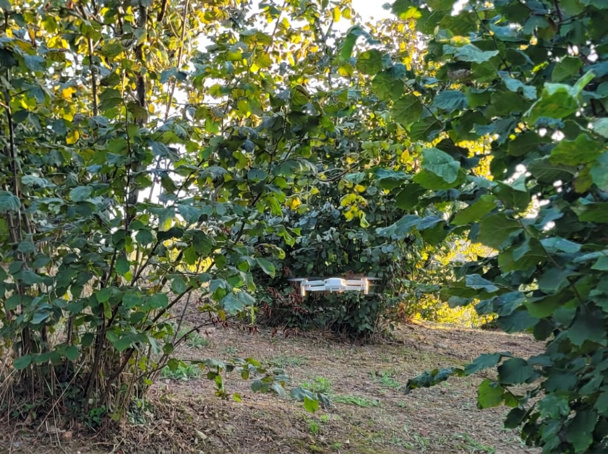 Fındıklıkta multispektral tarama yapan küçük tarım dronu